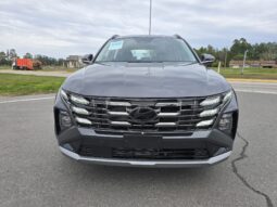 
										Nueva Tucson Híbrida full									