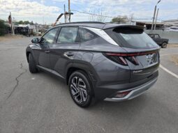 
										Nueva Tucson Híbrida full									