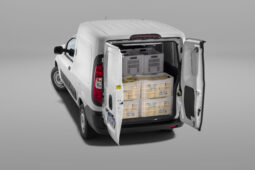 
										Fiorino Endurance full									