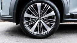 
										Fastback Audace full									